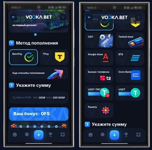 Способы внесения депозита в Vodka Casino