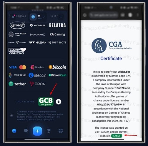 Лицензия казино Vodka